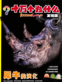 新十萬個(gè)為什么雜志